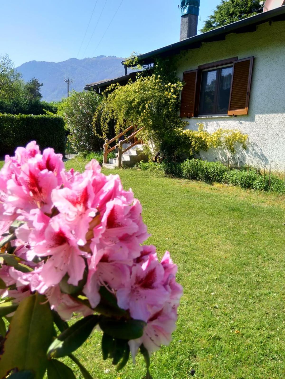 Villa Anna Sorico Eksteriør bilde